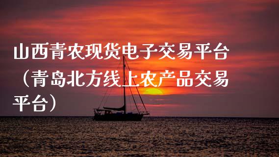 山西青农现货电子交易平台（青岛北方线上农产品交易平台）_https://www.zcsm.com.cn_期货行情_第1张