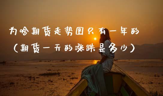 为啥期货走势图只有一年的（期货一天的涨跌是多少）_https://www.zcsm.com.cn_期货喊单_第1张