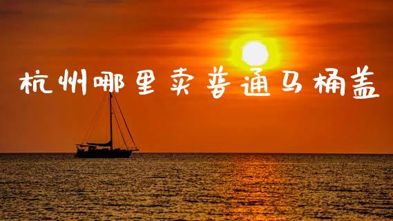 杭州哪里卖普通马桶盖_https://www.zcsm.com.cn_期货百科_第1张