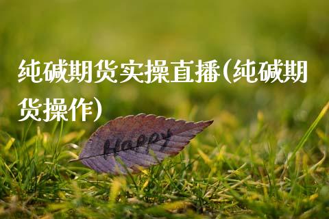 纯碱期货实操直播(纯碱期货操作)_https://www.zcsm.com.cn_期货喊单_第1张