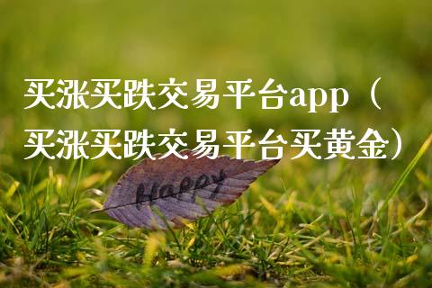 买涨买跌交易平台app（买涨买跌交易平台买黄金）_https://www.zcsm.com.cn_期货交易_第1张