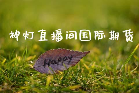 神灯直播间国际期货_https://www.zcsm.com.cn_期货喊单_第1张
