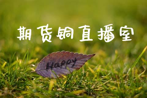 期货铜直播室_https://www.zcsm.com.cn_期货培训_第1张