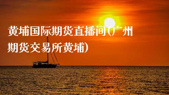 黄埔国际期货直播间(广州期货交易所黄埔)_https://www.zcsm.com.cn_期货行情_第1张