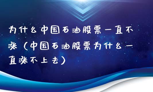 为什么中国石油股票一直不涨（中国石油股票为什么一直涨不上去）_https://www.zcsm.com.cn_期货培训_第1张