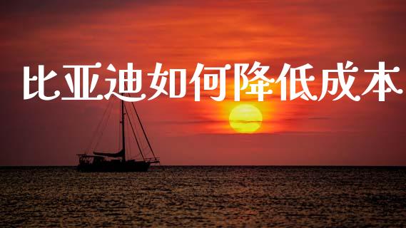 比亚迪如何降低成本_https://www.zcsm.com.cn_期货培训_第1张