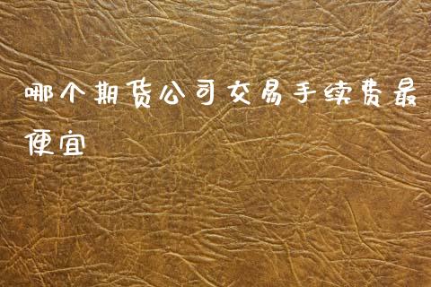 哪个期货公司交易手续费最便宜_https://www.zcsm.com.cn_期货百科_第1张