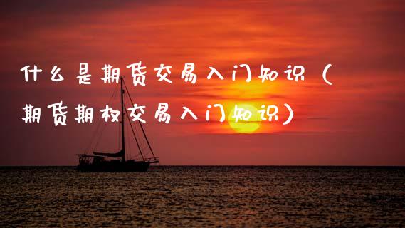 什么是期货交易入门知识（期货期权交易入门知识）_https://www.zcsm.com.cn_期货行情_第1张
