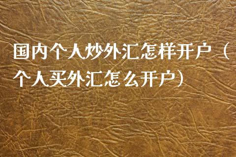 国内个人炒外汇怎样开户（个人买外汇怎么开户）_https://www.zcsm.com.cn_期货培训_第1张