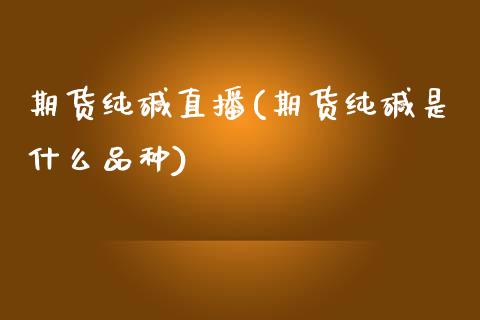 期货纯碱直播(期货纯碱是什么品种)_https://www.zcsm.com.cn_期货百科_第1张