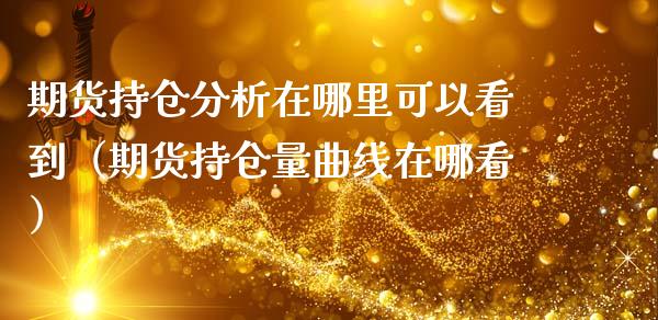 期货持仓分析在哪里可以看到（期货持仓量曲线在哪看）_https://www.zcsm.com.cn_期货交易_第1张