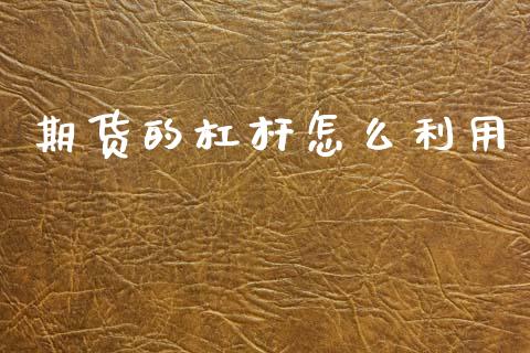 期货的杠杆怎么利用_期货培训_第1张_期货百科_期货喊单_期货行情_期货交易_原油期货_期货培训 期货的杠杆怎么利用_https://www.zcsm.com.cn_期货培训_第1张
