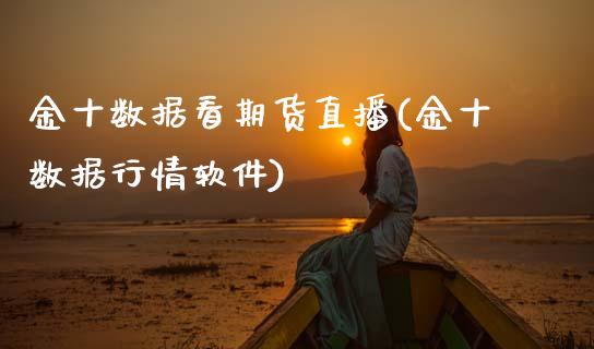 金十数据看期货直播(金十数据行情软件)_https://www.zcsm.com.cn_期货喊单_第1张