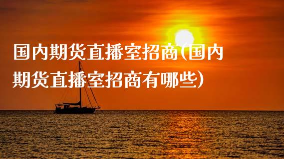 国内期货直播室招商(国内期货直播室招商有哪些)_https://www.zcsm.com.cn_期货喊单_第1张