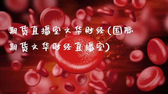 期货直播室文华财经(国际期货文华财经直播室)_https://www.zcsm.com.cn_期货培训_第1张