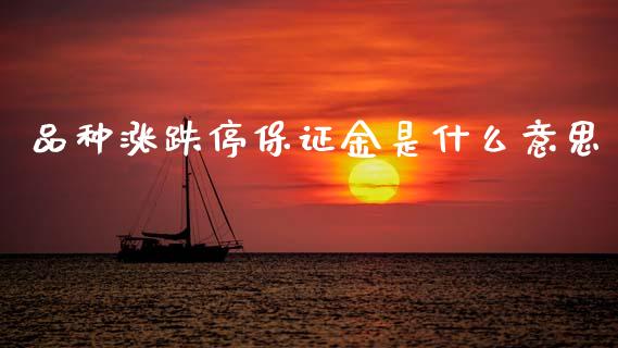 品种涨跌停保证金是什么意思_https://www.zcsm.com.cn_期货交易_第1张