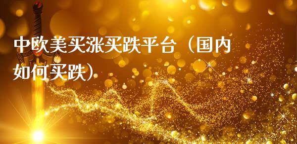 中欧美买涨买跌平台（国内如何买跌）_https://www.zcsm.com.cn_期货行情_第1张