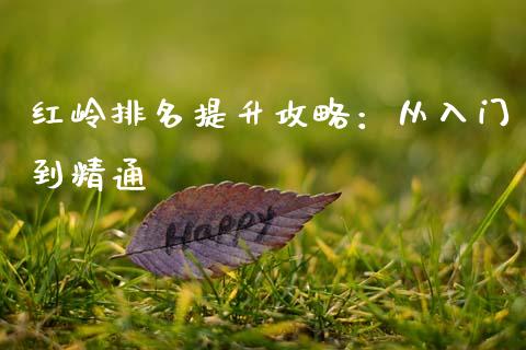 红岭排名提升攻略：从入门到精通_https://www.zcsm.com.cn_期货喊单_第1张