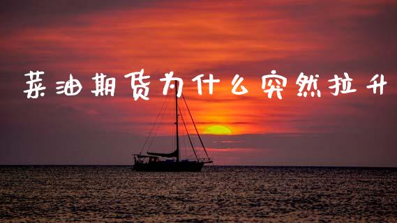 菜油期货为什么突然拉升_https://www.zcsm.com.cn_期货交易_第1张