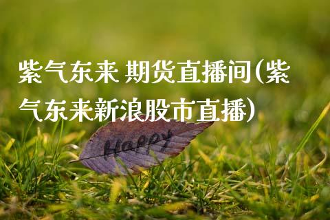 紫气东来 期货直播间(紫气东来新浪股市直播)_https://www.zcsm.com.cn_期货培训_第1张