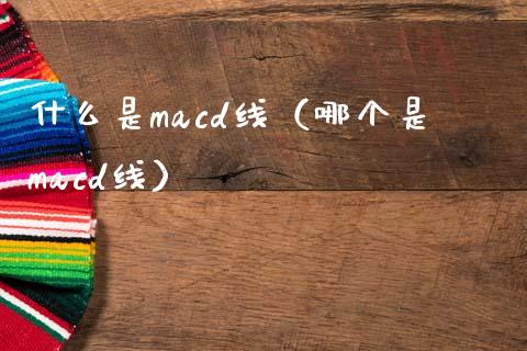 什么是macd线（哪个是macd线）_https://www.zcsm.com.cn_期货培训_第1张