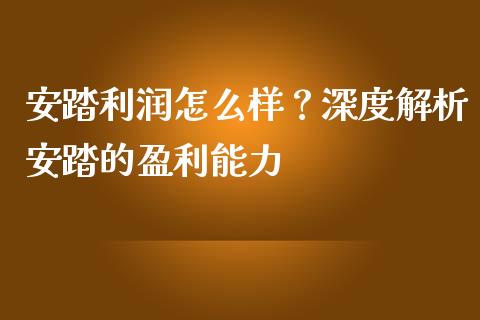 安踏利润怎么样？深度解析安踏的盈利能力_https://www.zcsm.com.cn_期货培训_第1张