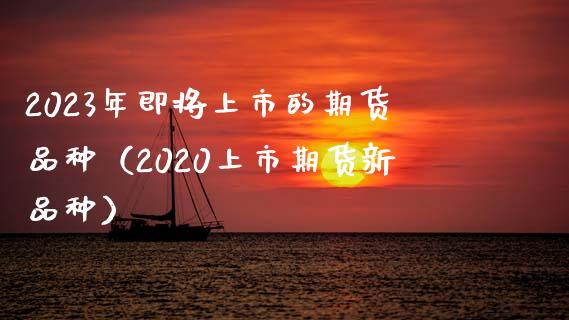 2023年即将上市的期货品种（2020上市期货新品种）_https://www.zcsm.com.cn_期货百科_第1张