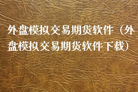 外盘模拟交易期货软件（外盘模拟交易期货软件下载）_https://www.zcsm.com.cn_期货交易_第1张
