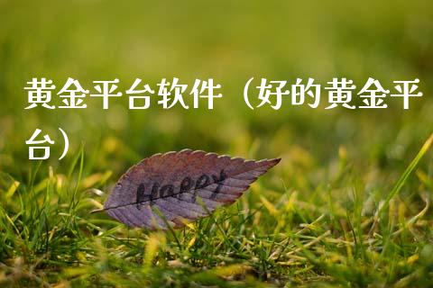 黄金平台软件（好的黄金平台）_https://www.zcsm.com.cn_期货行情_第1张