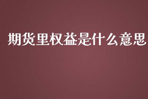 期货里权益是什么意思_https://www.zcsm.com.cn_期货交易_第1张