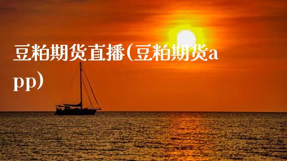 豆粕期货直播(豆粕期货app)_https://www.zcsm.com.cn_期货百科_第1张