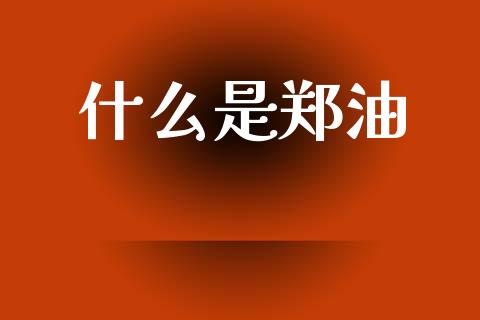 什么是郑油_https://www.zcsm.com.cn_期货百科_第1张