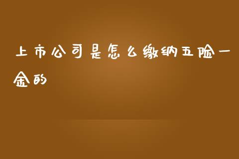 上市公司是怎么缴纳五险一金的_期货百科_第1张_期货百科_期货喊单_期货行情_期货交易_原油期货_期货培训 上市公司是怎么缴纳五险一金的_https://www.zcsm.com.cn_期货百科_第1张