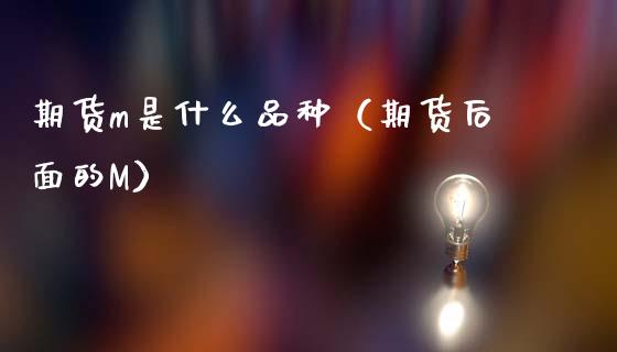 期货m是什么品种（期货后面的M）_https://www.zcsm.com.cn_期货喊单_第1张
