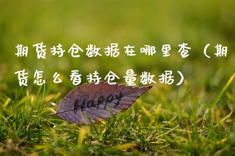 期货持仓数据在哪里查（期货怎么看持仓量数据）_https://www.zcsm.com.cn_期货交易_第1张