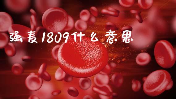 强麦1809什么意思_期货喊单_第1张_期货百科_期货喊单_期货行情_期货交易_原油期货_期货培训 强麦1809什么意思_https://www.zcsm.com.cn_期货喊单_第1张