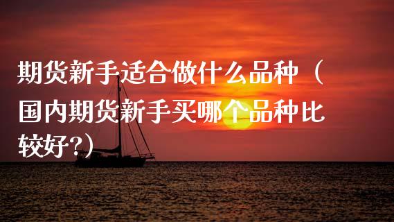 期货新手适合做什么品种（国内期货新手买哪个品种比较好?）_https://www.zcsm.com.cn_期货喊单_第1张