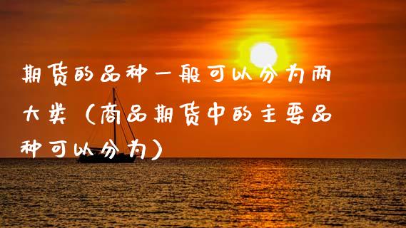 期货的品种一般可以分为两大类（商品期货中的主要品种可以分为）_https://www.zcsm.com.cn_期货喊单_第1张