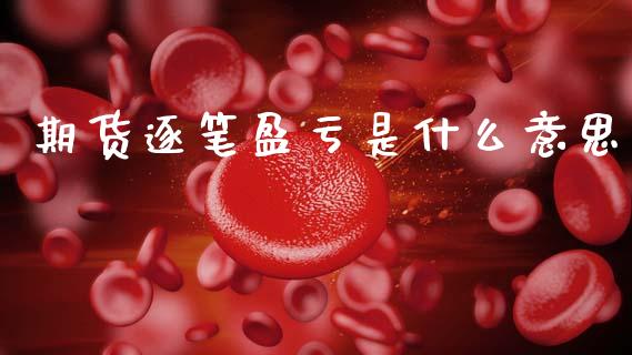 期货逐笔盈亏是什么意思_https://www.zcsm.com.cn_期货培训_第1张