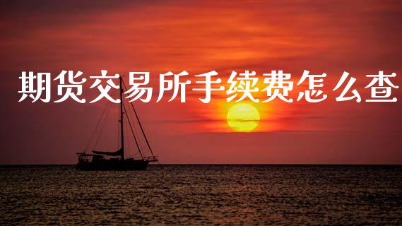 期货交易所手续费怎么查_https://www.zcsm.com.cn_期货行情_第1张