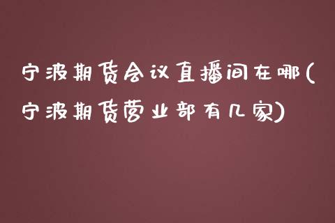 宁波期货会议直播间在哪(宁波期货营业部有几家)_https://www.zcsm.com.cn_期货培训_第1张