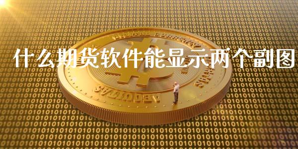 什么期货软件能显示两个副图_https://www.zcsm.com.cn_期货交易_第1张