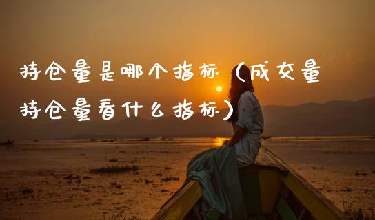 持仓量是哪个指标（成交量持仓量看什么指标）_https://www.zcsm.com.cn_期货交易_第1张
