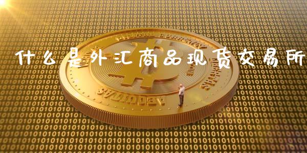 什么是外汇商品现货交易所_https://www.zcsm.com.cn_期货百科_第1张