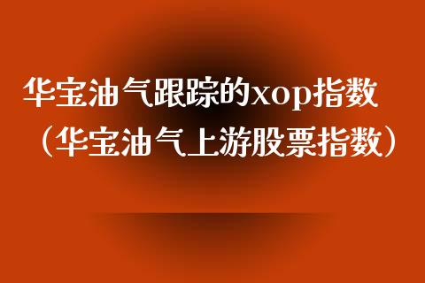 华宝油气跟踪的xop指数（华宝油气上游股票指数）_https://www.zcsm.com.cn_原油期货_第1张