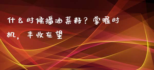 什么时候播油菜籽？掌握时机，丰收在望_https://www.zcsm.com.cn_期货行情_第1张