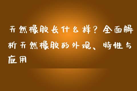 天然橡胶长什么样？全面解析天然橡胶的外观、特性与应用_https://www.zcsm.com.cn_期货百科_第1张