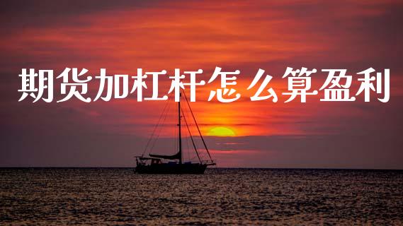 期货加杠杆怎么算盈利_https://www.zcsm.com.cn_期货培训_第1张
