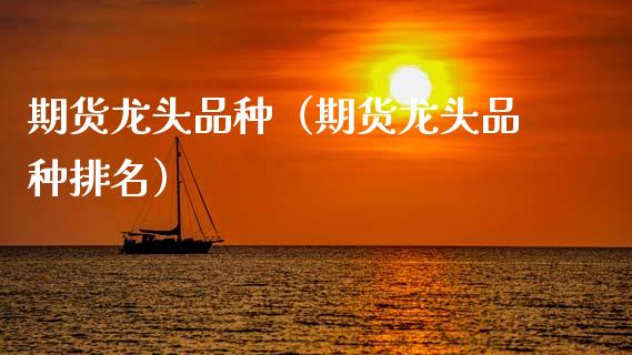 期货龙头品种（期货龙头品种排名）_https://www.zcsm.com.cn_期货喊单_第1张
