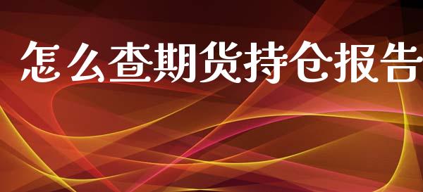 怎么查期货持仓报告_https://www.zcsm.com.cn_期货培训_第1张